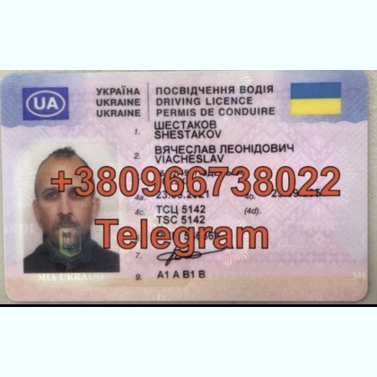 �������� ���������� �������� � ���� ³�����